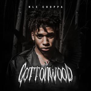 NLE Choppa Cottonwood nle choppa wallpaper