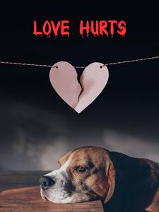No Love Puppy And Broken Heart no love wallpaper