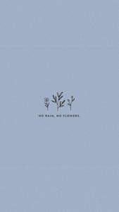 No Rain No Flowers Cute Aesthetic cute aesthetic wallpaper