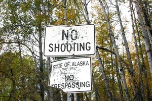 No Shooting Funny Meme funny meme wallpaper