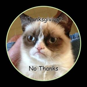 No Thanks Cat Meme PFP meme pfp wallpaper