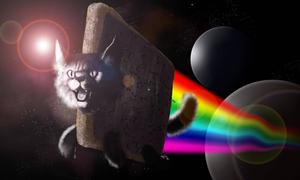 Nyan Cat Space Funny Meme funny meme wallpaper