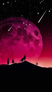 Oled Wolf Moon oled wallpaper