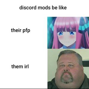 Online Vs Real Life Meme PFP meme pfp wallpaper