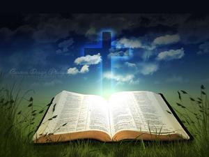 Open Bible Meadow Cross bible wallpaper