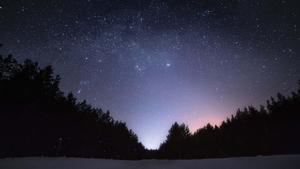 Optimized Image A cute bat silhouette against a star-filled evening sky cute dark wallpaper