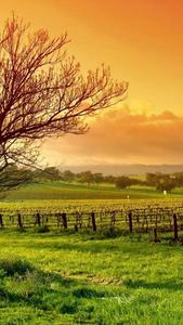 Orange County Side Nature nature wallpaper