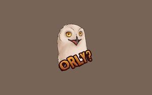 Orly Owl Funny Meme funny meme wallpaper