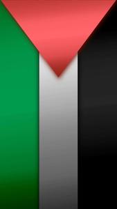 Palestine Flag Waving against a Blue Sky palestine wallpaper