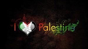 Palestine, Land of Resilience palestine wallpaper