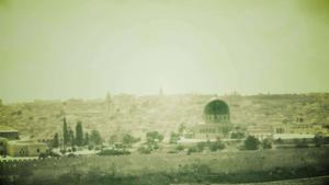 Palestine's beautiful landscape palestine wallpaper