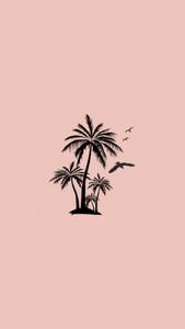 Palm Trees On Island PFP Aesthetic pfp aesthetic wallpaper