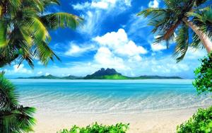 Paradise Found: Enjoy this beautiful beach hidden away in nature beautiful wallpaper