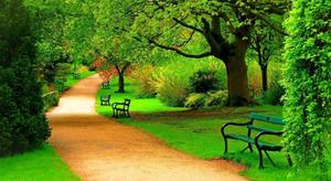 Park Walkway Full Screen Hd Desktop full screen hd desktop wallpaper