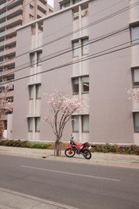 Parked Red Motorcycle motorcycle wallpaper