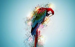 Parrot Bird in a Psychedelic Art art wallpaper