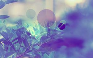Pastel Aesthetic background pastel aesthetic wallpaper