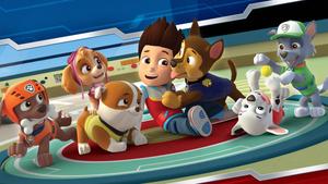 Paw Patrol Dogs With Ryder paw patrol wallpaper