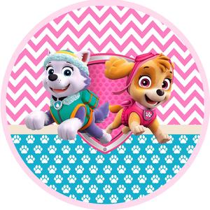 Paw Patrol Everest And Skye paw patrol wallpaper
