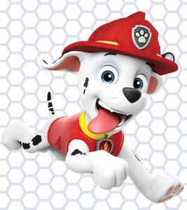 Paw Patrol Marshall paw patrol wallpaper