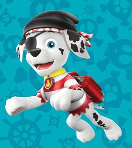 Paw Patrol Pirate Marshall paw patrol wallpaper