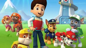 Paw Patrol Pups And Ryder paw patrol wallpaper
