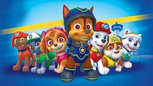 Paw Patrol Pups paw patrol wallpaper