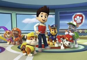 Paw Patrol Ready For Adventure! paw patrol wallpaper
