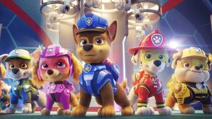 Paw Patrol Rescue Team paw patrol wallpaper