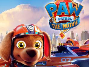 Paw Patrol The Movie Zuma paw patrol wallpaper