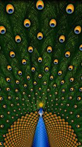 Peacock Train Beautiful Phone beautiful phone wallpaper