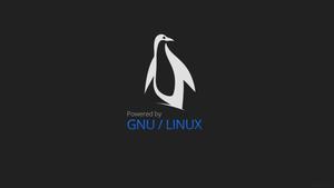 Penguin Linux Logo linux wallpaper
