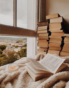 PFP Aesthetic Reading Nook By Window pfp aesthetic wallpaper