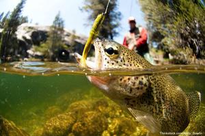 Picture Fisherman Catching a Big Bass in the Fishing Lake fishing wallpaper