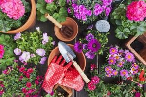 Picture Of Flower Garden Tools flower wallpaper