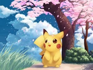 Pikachu Falling Cherry Blossom Picture pikachu wallpaper