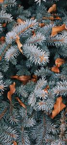 Pine Tree Leaves Christmas IPhone christmas iphone wallpaper