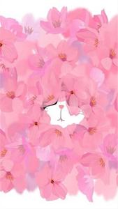 Pink Flower And Bunny Pretty Phone pretty phone wallpaper