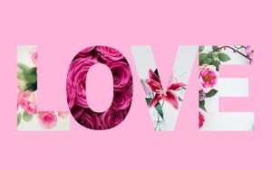 Pink Laptop Love pink laptop wallpaper
