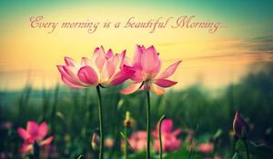 Pink Lotus Good Morning Picture good morning wallpaper