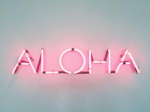 Pink Neon Aloha Laptop laptop wallpaper