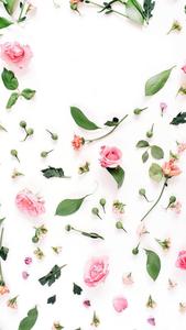Pink Rose Petals Fall IPhone fall iphone wallpaper