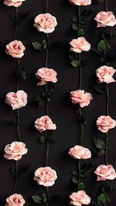 Pink Roses Pretty Phone pretty phone wallpaper
