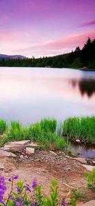 Pink Skies Nature 4K iPhone 4k nature iphone wallpaper