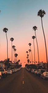 Pink Sunset Road Summer iPhone summer iphone wallpaper