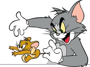 Playful Tom And Jerry Cartoon tom and jerry cartoon wallpaper