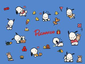 Pochacco And Friends Blue Art pochacco wallpaper