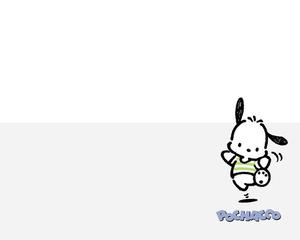 Pochacco Cute White Art pochacco wallpaper