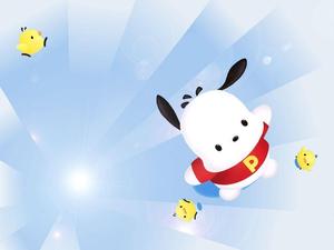 Pochacco Sanrio Character pochacco wallpaper