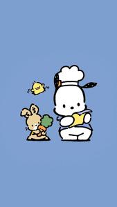 Pochacco Wearing Chef Hat pochacco wallpaper